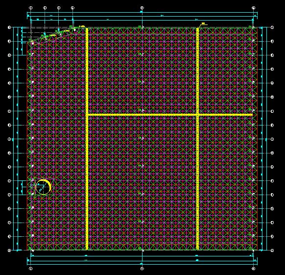 简阳东营金岭化工大王煤棚网架